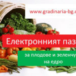 Презентация за сайта Gradinaria
